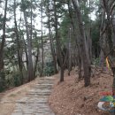 봉황산나래숲 이미지