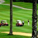 C.C당구장 이미지