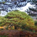 답곡리마을 이미지