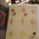 와작와작 이미지