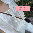 해피 댕 데이 이미지