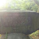 송백정 이미지