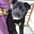 팔곡파출소 이미지