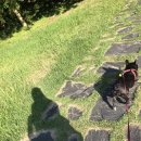 포레스트문 이미지