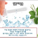 에폴리시스템 이미지