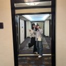 라스베가스PC방 | *미국 서부 로스앤젤레스, 샌프란시스코 자유여행 10일차* Blu Jam Cafe, Palace of Fine Arts, Super...