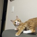 백제동물약품 이미지