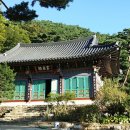 전등사 Daum카페