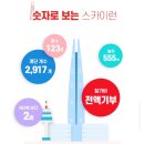 스카이런(sky run) 이미지