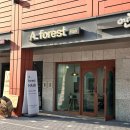 에이포레스트(A forest)