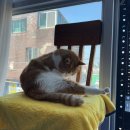 대화문구사 | 요가복 몇 벌과 책 한 권 가방에 넣어 제주도로(한주훈 요가원 수련기)