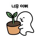 (주)엔젤월드