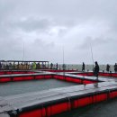 왜목마을 좌대낚시터 이미지