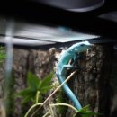 어반네이처 이미지