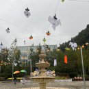 양천구청(흡연부스 옆) | 용인 가볼만한곳 자작나무숲 핑크뮬리 가을꽃축제 입장료 카페 베툴라 후기