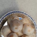 마리나펜션 이미지