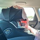 베베퓨어 | 제주도 렌터카 카시트 대여 퓨어베베 내돈내산 후기