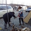 양달캠핑장 이미지