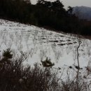 종근농장 이미지