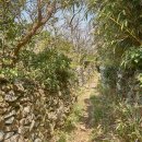 대부산민박 | [190330~31] 금오도 비렁길 &amp; 대부산 &amp; 여수 영취산 후기