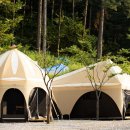 동물카라반펜션 이미지