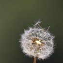 제이와이골프 이미지