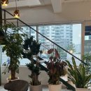 현대자동차 여서점 이미지