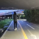 도교1교 이미지