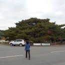 장흥군 한달여행 열나흘째