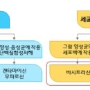 홍순식품 네이버블로그