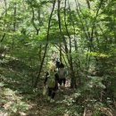 백제부흥군길7-18(~17) 네이버블로그