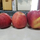 백전식당 이미지