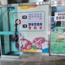 충북혁신도시 진천 터미널 맛집 축산농협 한우프라자 내돈내산 후기
