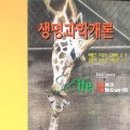 기린03-1 Daum카페