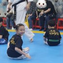 구룡태권도체육관 | 삼성초태권도 신뢰와 배려로 성장하는 구룡체육관 체험기