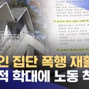 장애인 노동력도 착취‥ 사후 관리도 &#39;부실&#39; (2025.02.17/뉴스데스크/울산MBC) 이미지