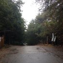 광교산 성복동 등산로 이미지