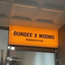 번지웅