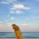 정암해변 버스정류장 이미지