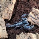 준성농장 이미지