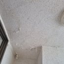 주식회사 군산신주철재 | 군산 동신진주 세탁실 누수로 재시공 탄성코트 후기