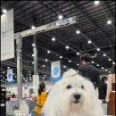 유어라운지 이미지