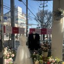 웨딩스쿨결혼전문영남 | [대구 신혼가전] LG전자 베스트샵 북비산점 | 웨딩스타점만의 특별한 혜택 방문 후기