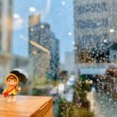 엘제이비 이미지