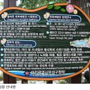 팬플루트(야간) 이미지