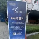 2025 국가유산 미디어아트 군산 다녀옴(솔직후기)