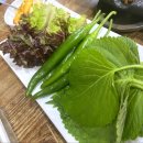 진아축산 이미지