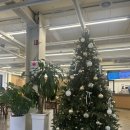 화이트 빌 | 대전 도룡동 카페 디저트 맛집 파머스 프레빌 후기