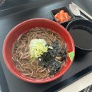 내고향도우미 | 한국어도우미: 유학생 언어교육봉사 활동일지5 / 인도 비둘기는 바보새