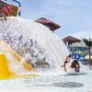 파라다이스 스파도고 이미지